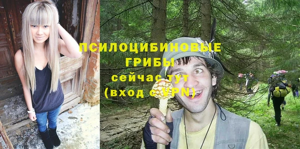 сатива Балабаново