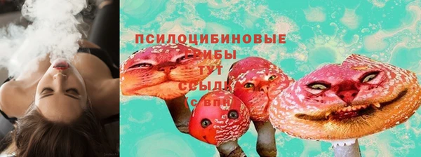 сатива Балабаново