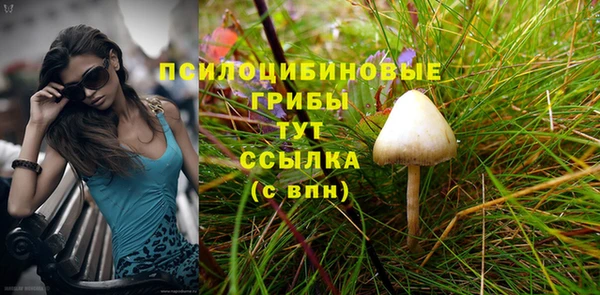 стафф Балахна